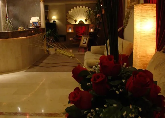 Medium Claramar بلاتجا ذارو